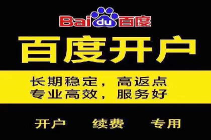 百度推广费用优化策略成功案例分享